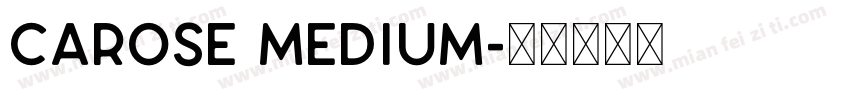 CAROSE Medium字体转换